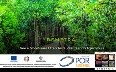 PROGETTO D.E.M.E.T.R.A. – BANDO DI SELEZIONE –