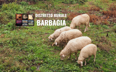 II° Bando Distretti del CIBO rivolto ai soci del DISTRETTO RURALE BARBAGIA (modulo manifestazione di interesse)